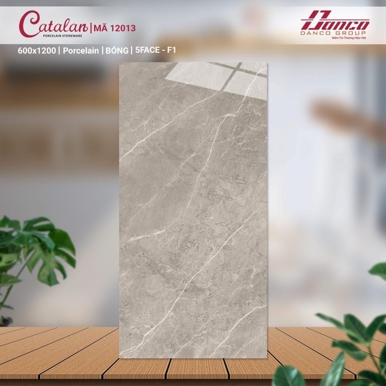 Gạch đá bóng 60x120 CTL 12013