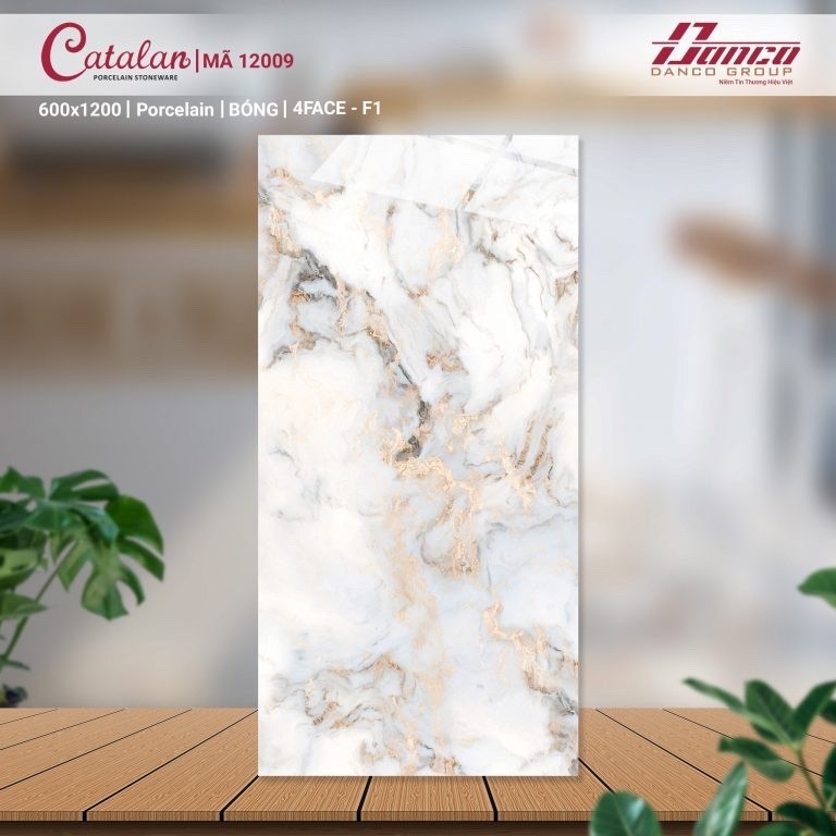 Gạch đá bóng 60x120 CTL 12009