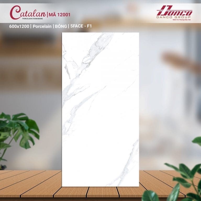 Gạch đá bóng 60x120 CTL 12001