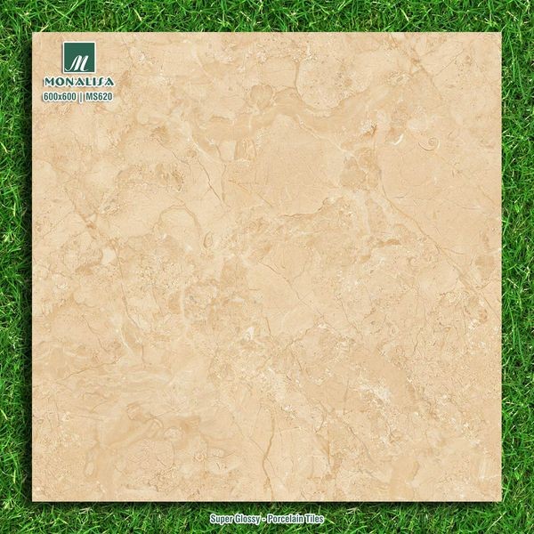 Gạch đá bóng 60x60 PL MS620