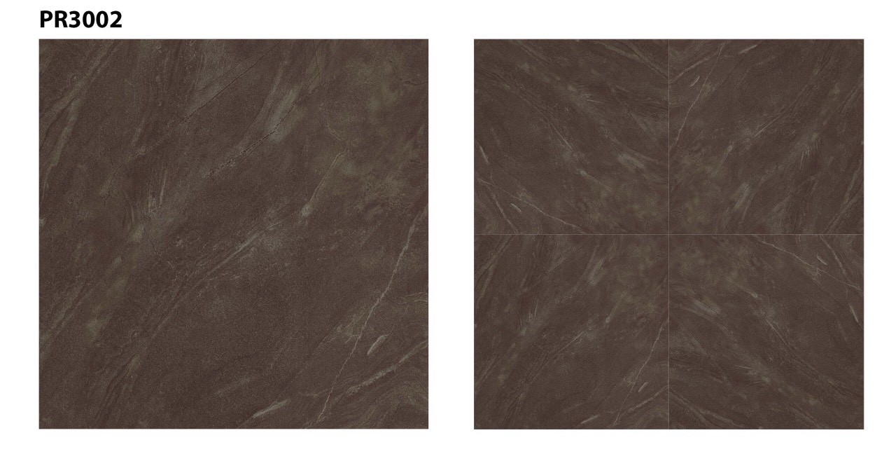 Gạch men 30x30 NVT PR3002