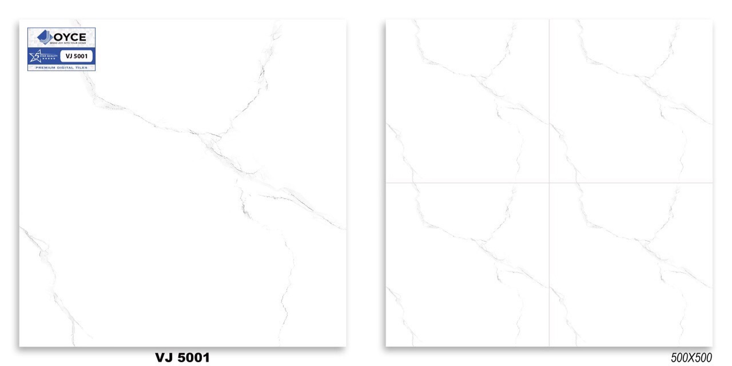 Gạch men 50x50 NVT VJ5001