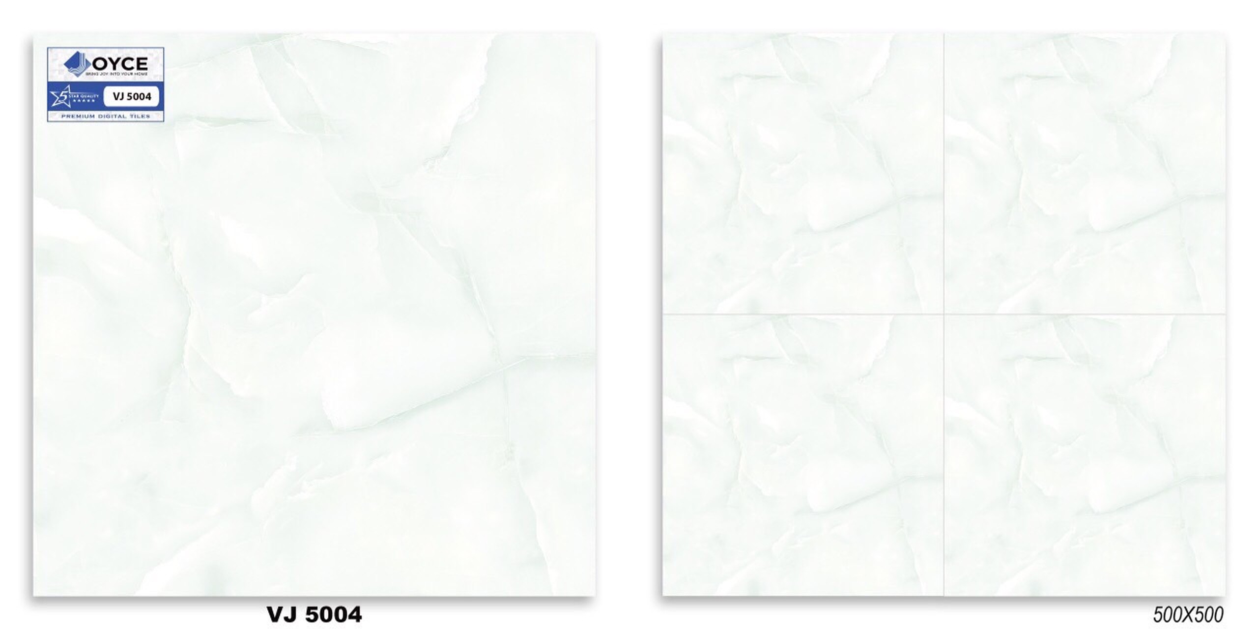 Gạch men 50x50 NVT VJ5004