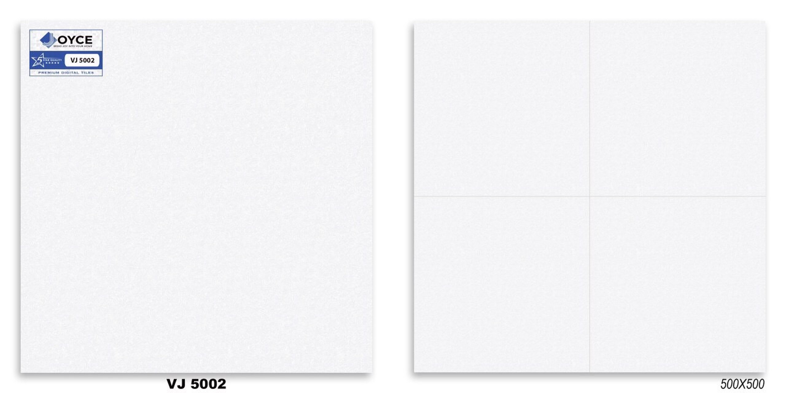 Gạch men 50x50 NVT VJ5002
