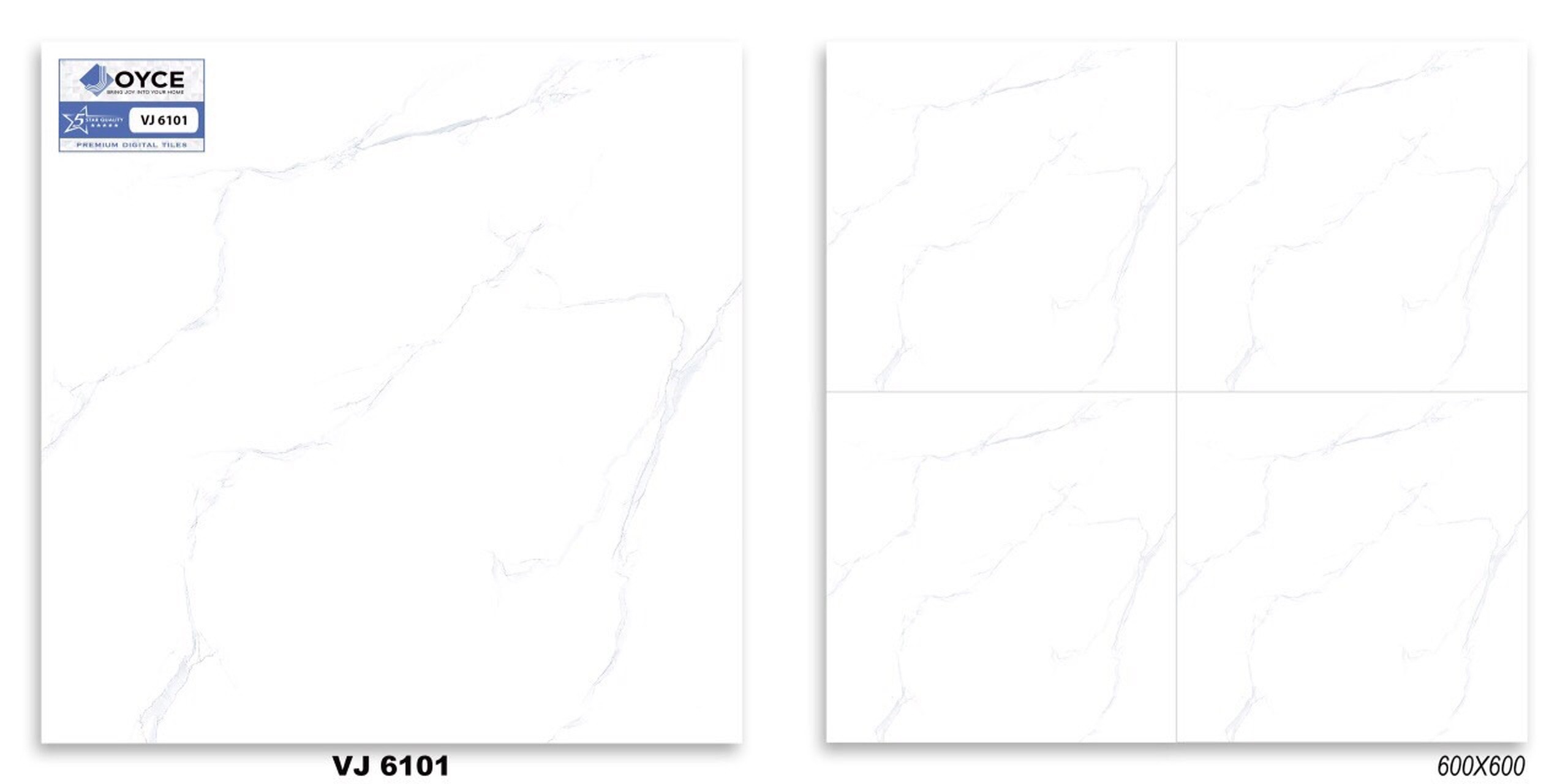 Gạch men bóng 60x60 NVT VJ6101