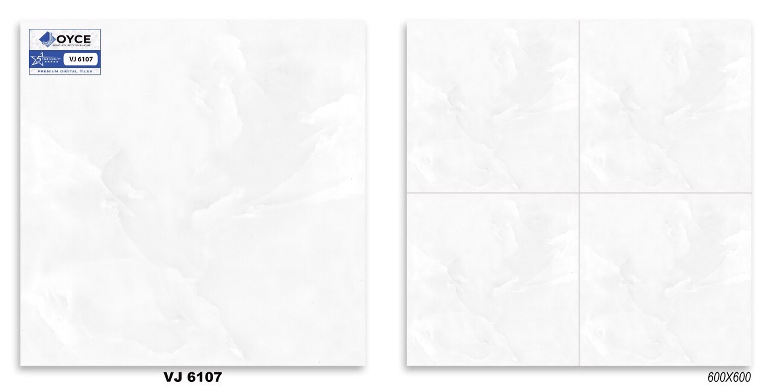 Gạch men bóng 60x60 NVT VJ6107