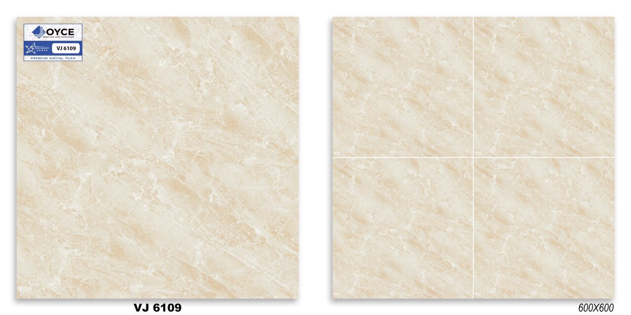 Gạch men bóng 60x60 NVT VJ6109