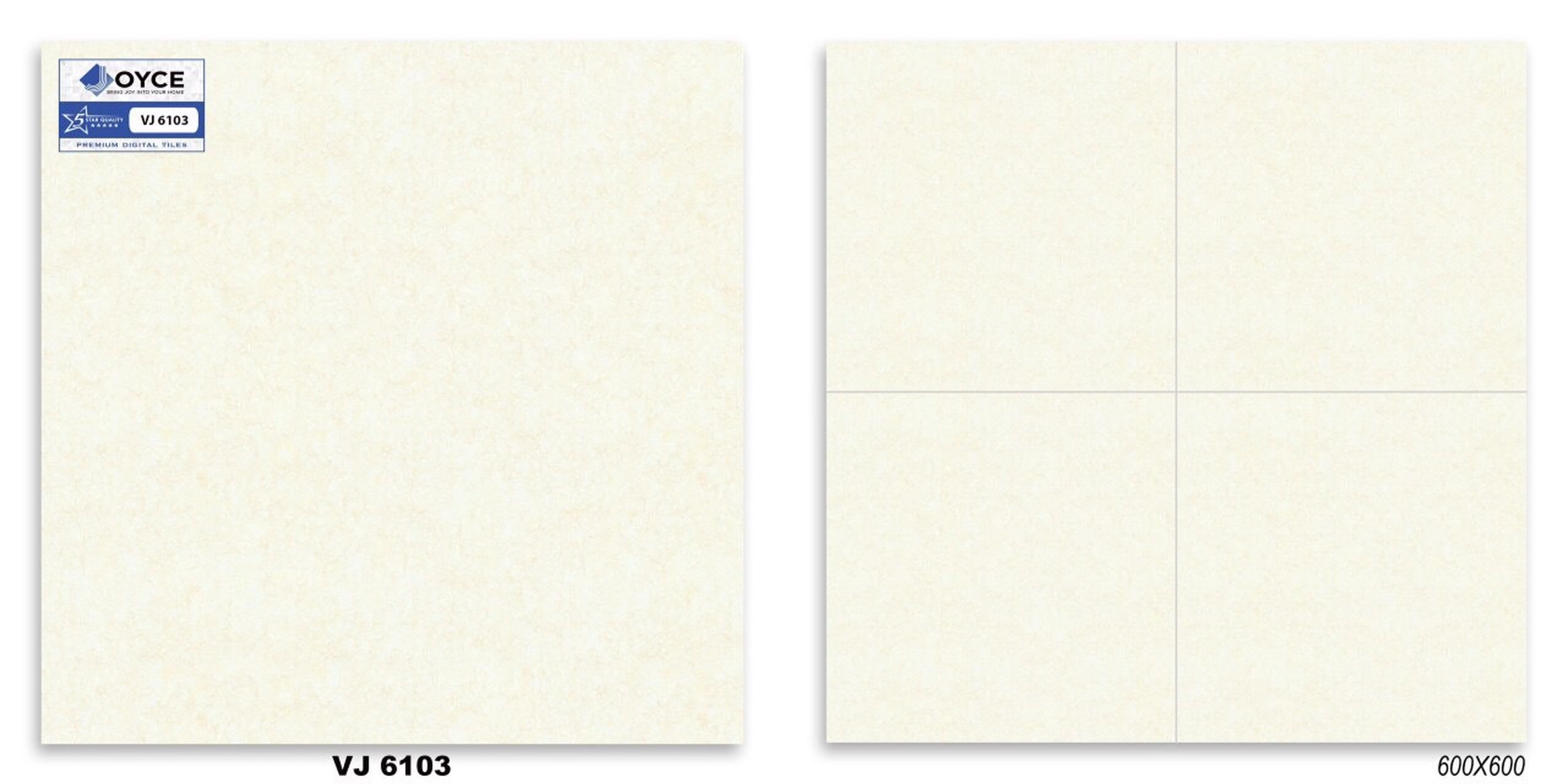 Gạch men bóng 60x60 NVT VJ6103