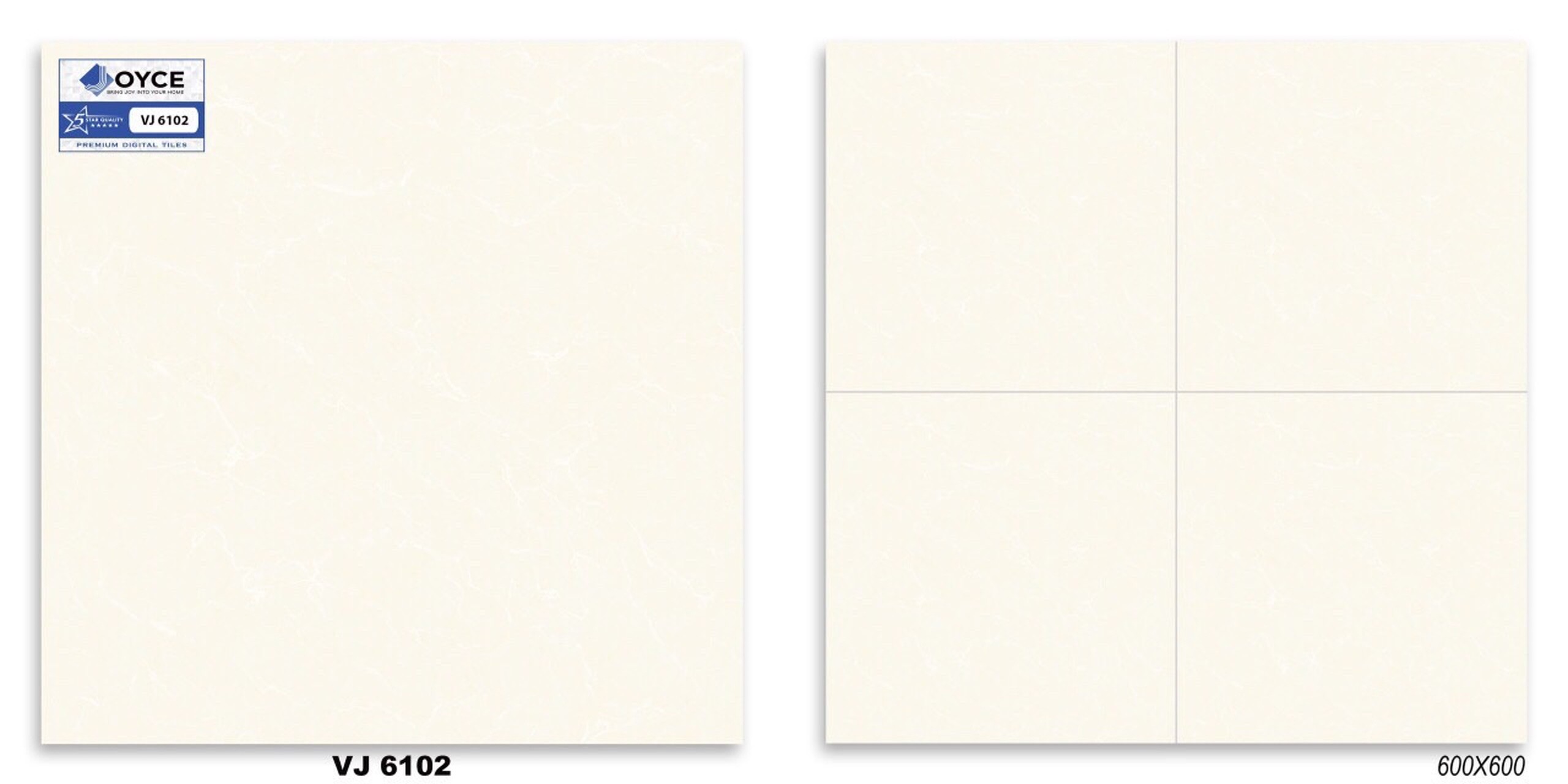 Gạch men bóng 60x60 NVT VJ6102