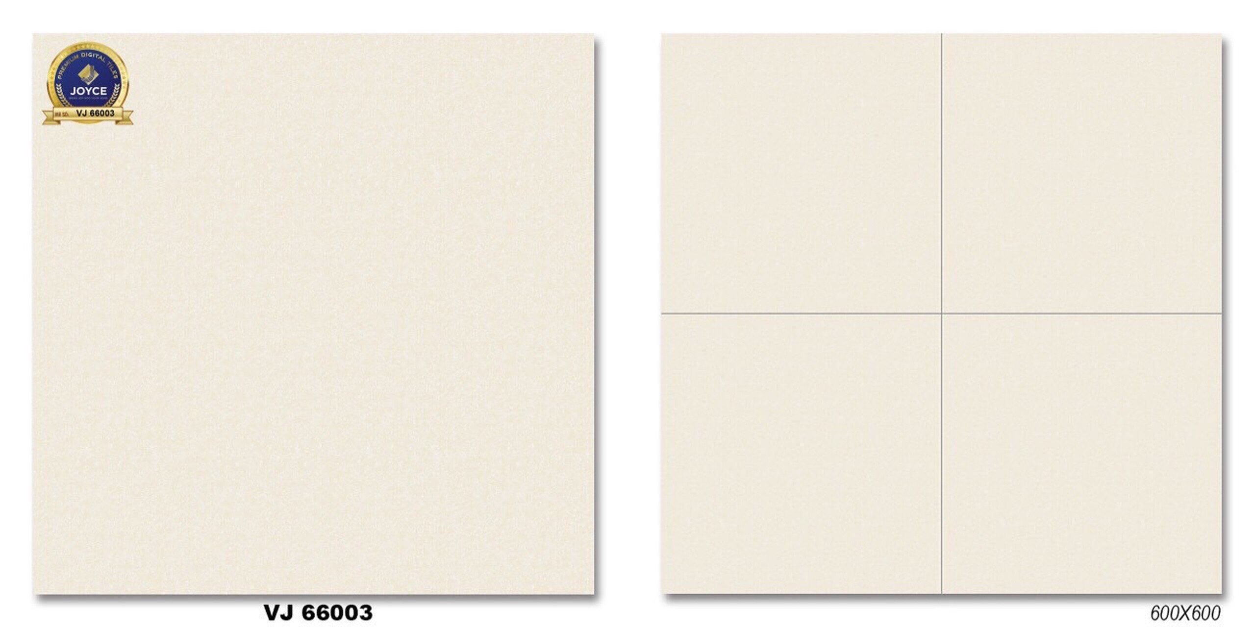 Gạch đá bóng 60x60 NVT VJ66003