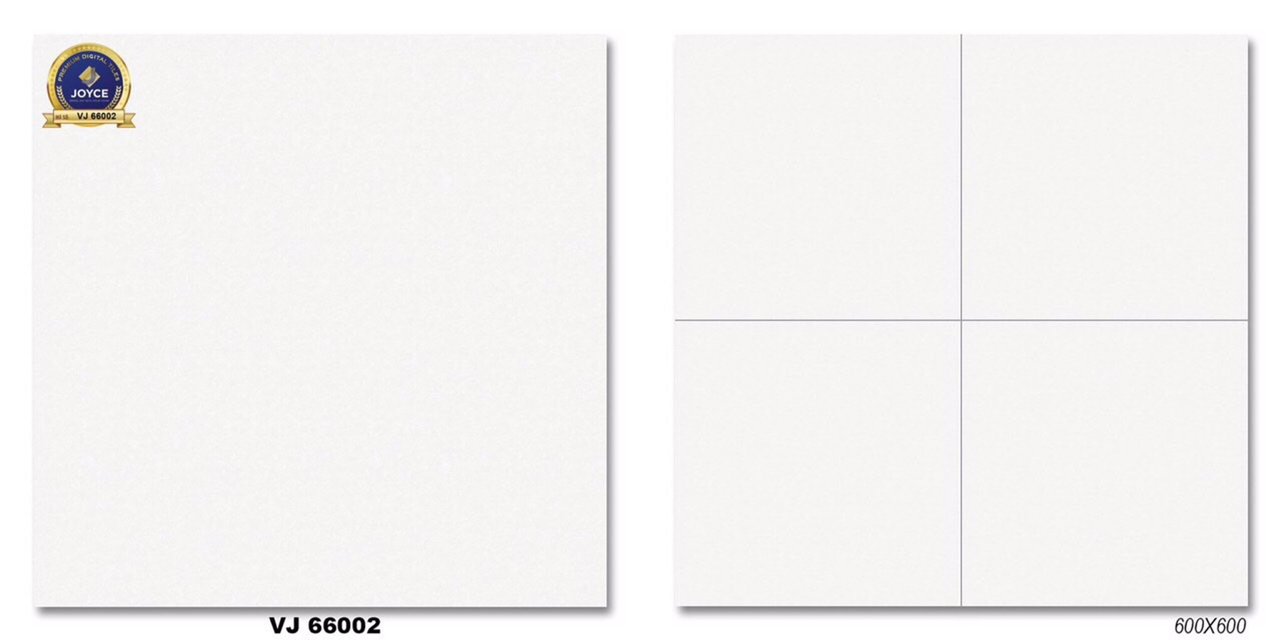 Gạch đá bóng 60x60 NVT VJ66002