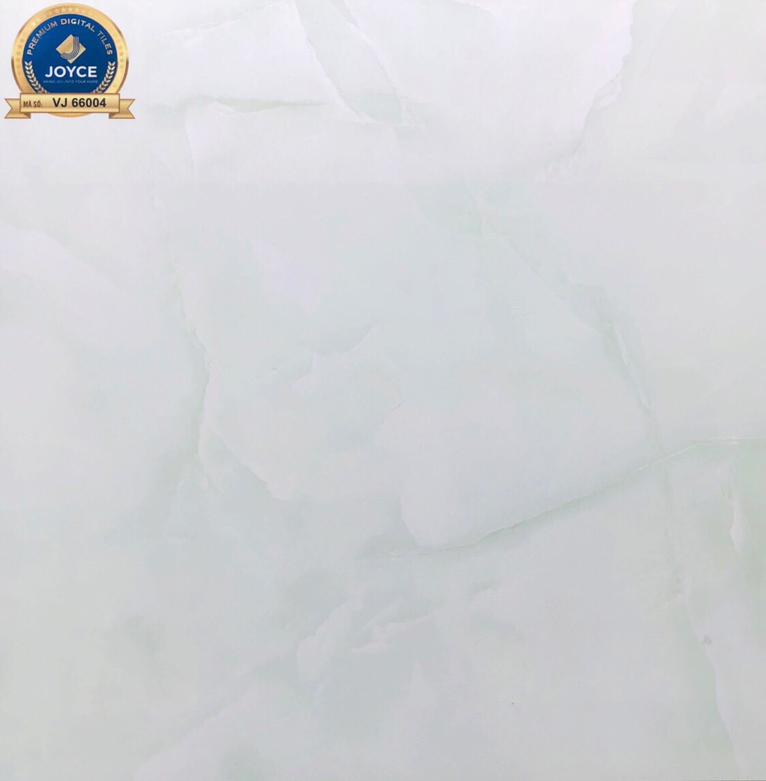 Gạch đá bóng 60x60 NVT VJ66004