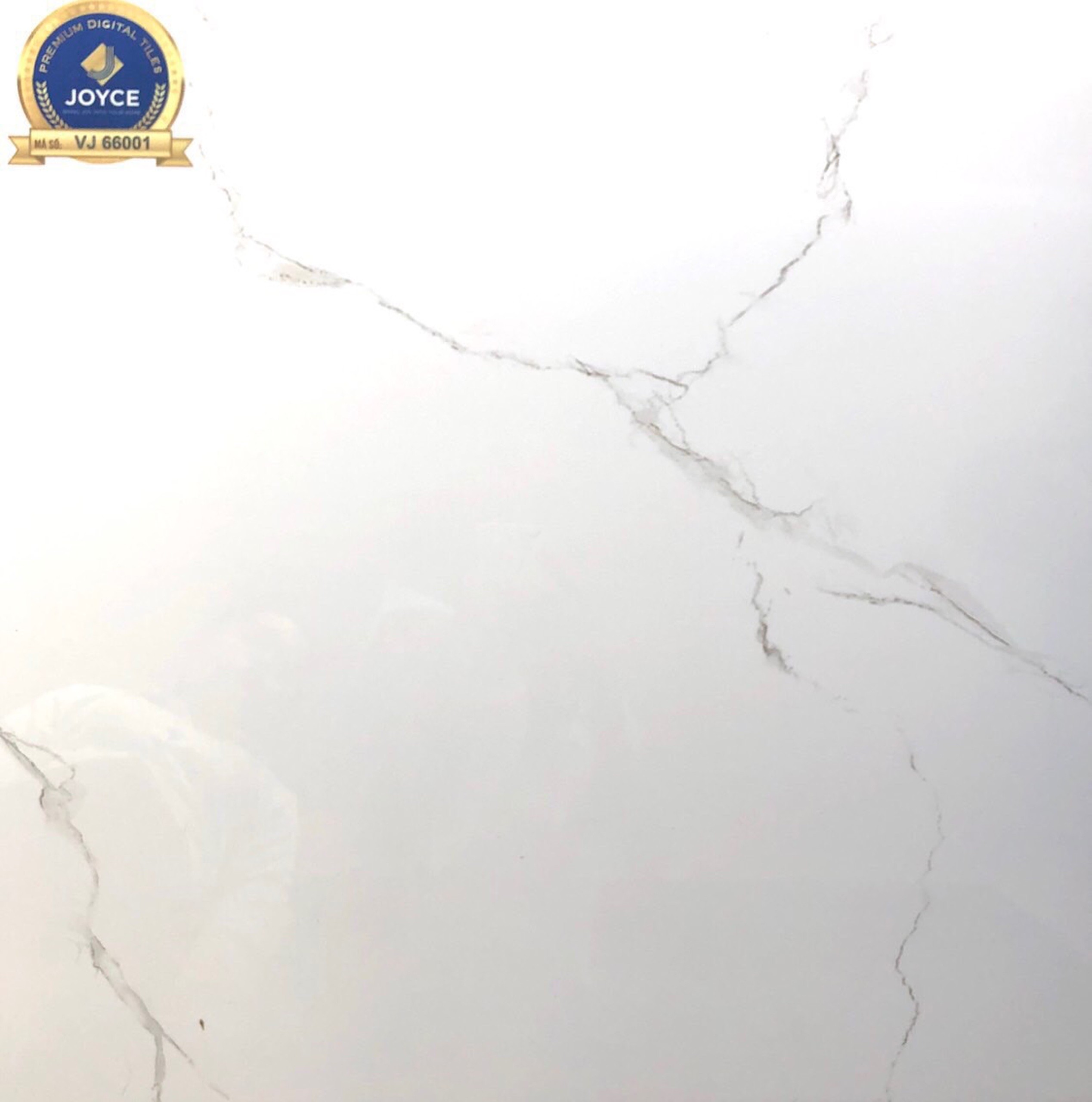 Gạch đá bóng 60x60 NVT VJ66001