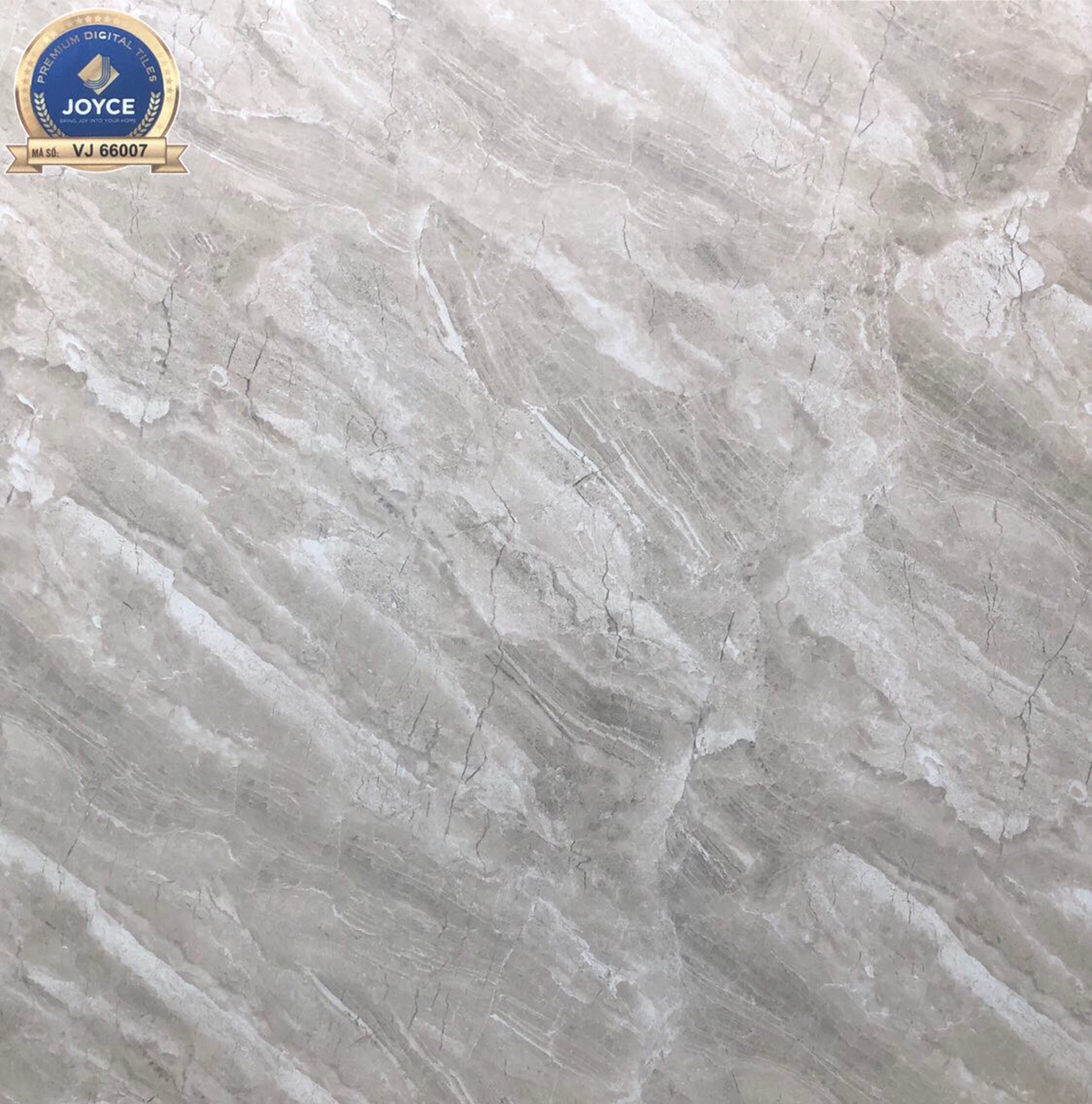 Gạch đá bóng 60x60 NVT VJ66007