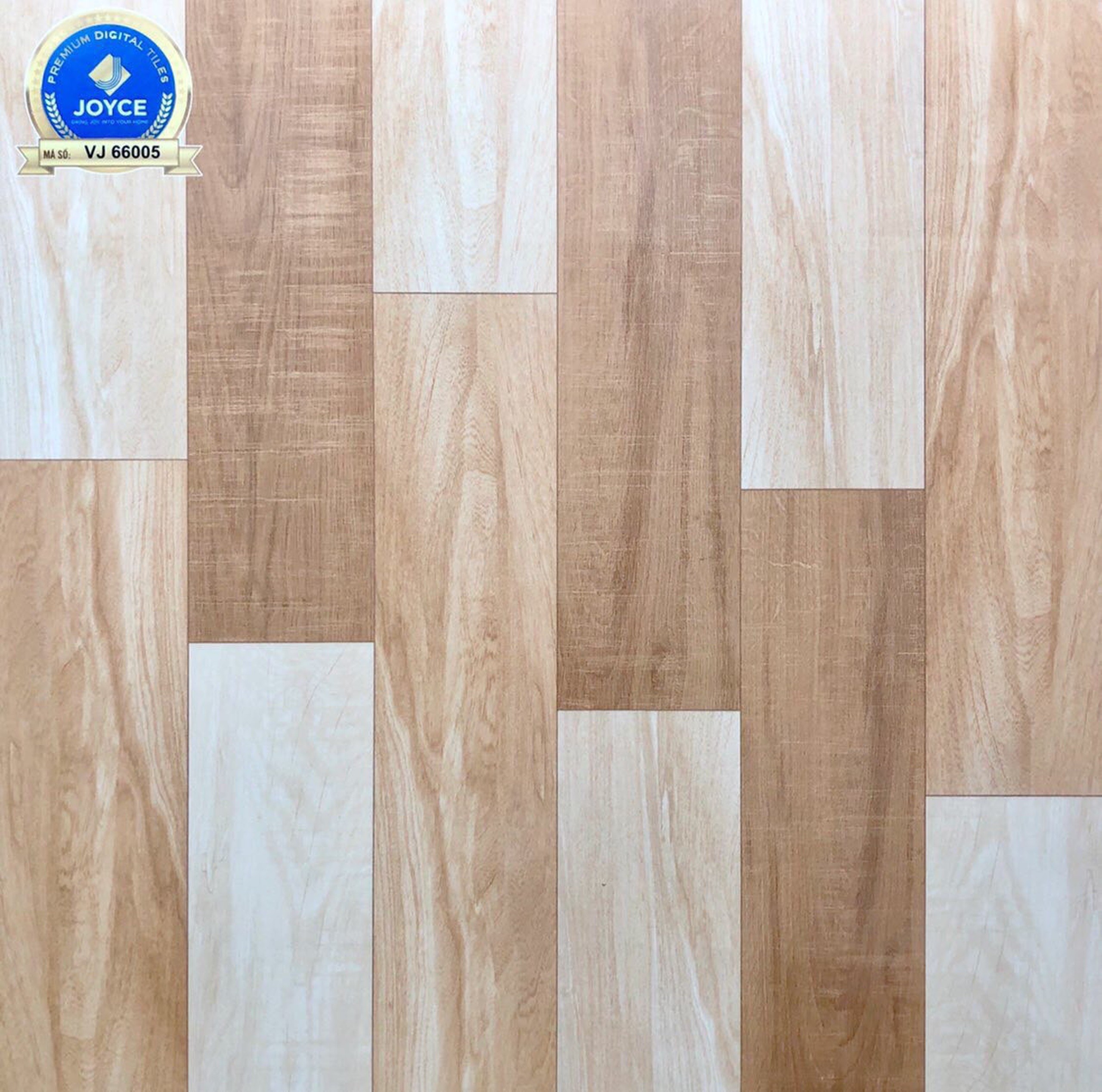 Gạch đá bóng 60x60 NVT VJ66005