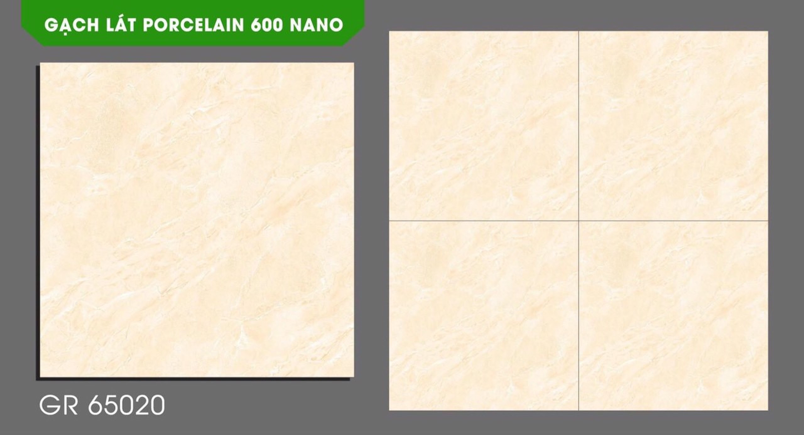Gạch đá bóng 60x60 NVT GR65020