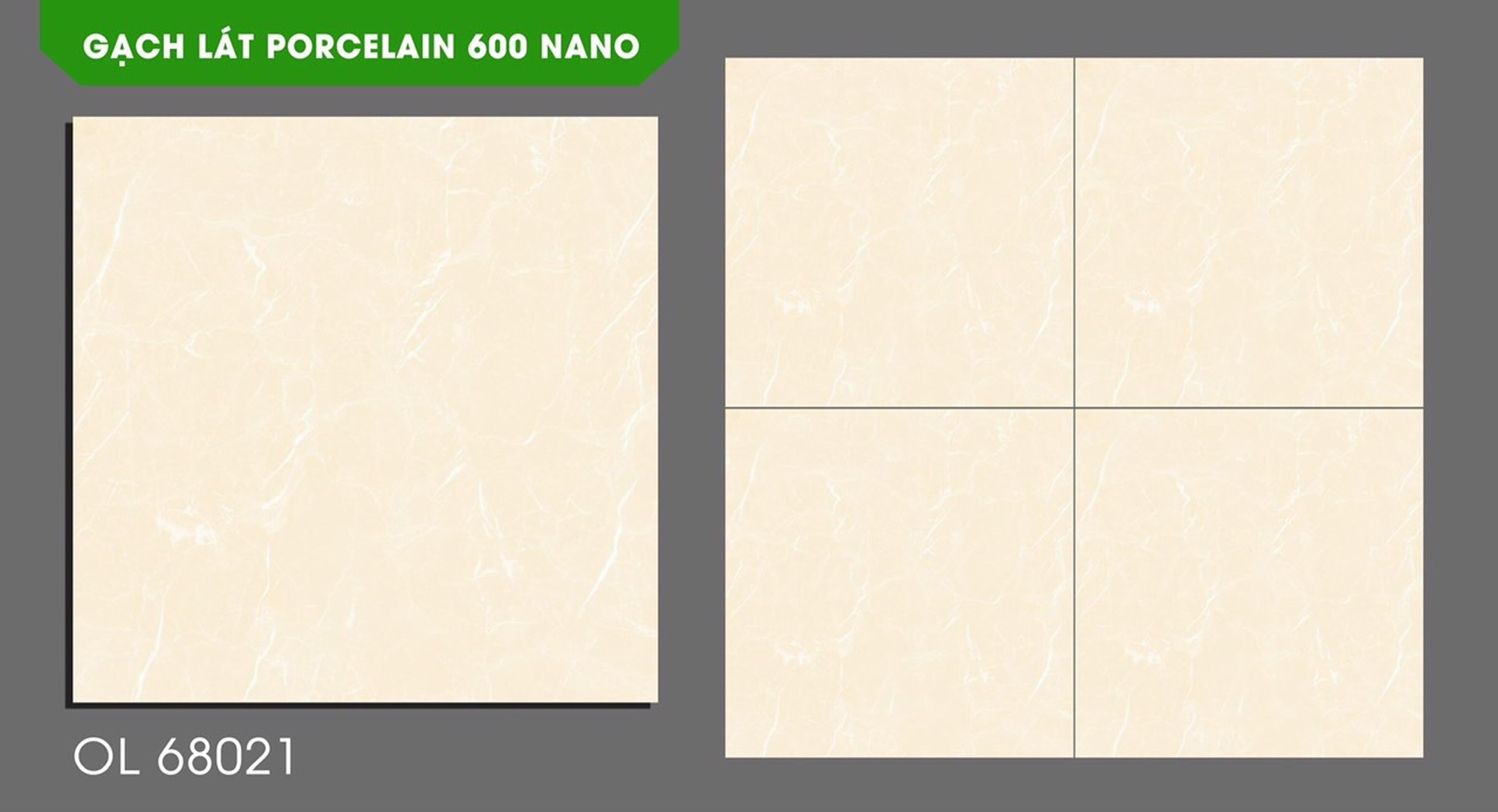 Gạch đá bóng 60x60 NVT OL68021