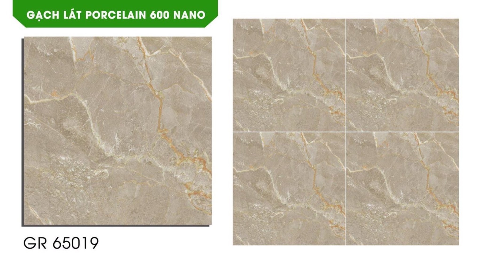 Gạch đá bóng 60x60 NVT GR65019