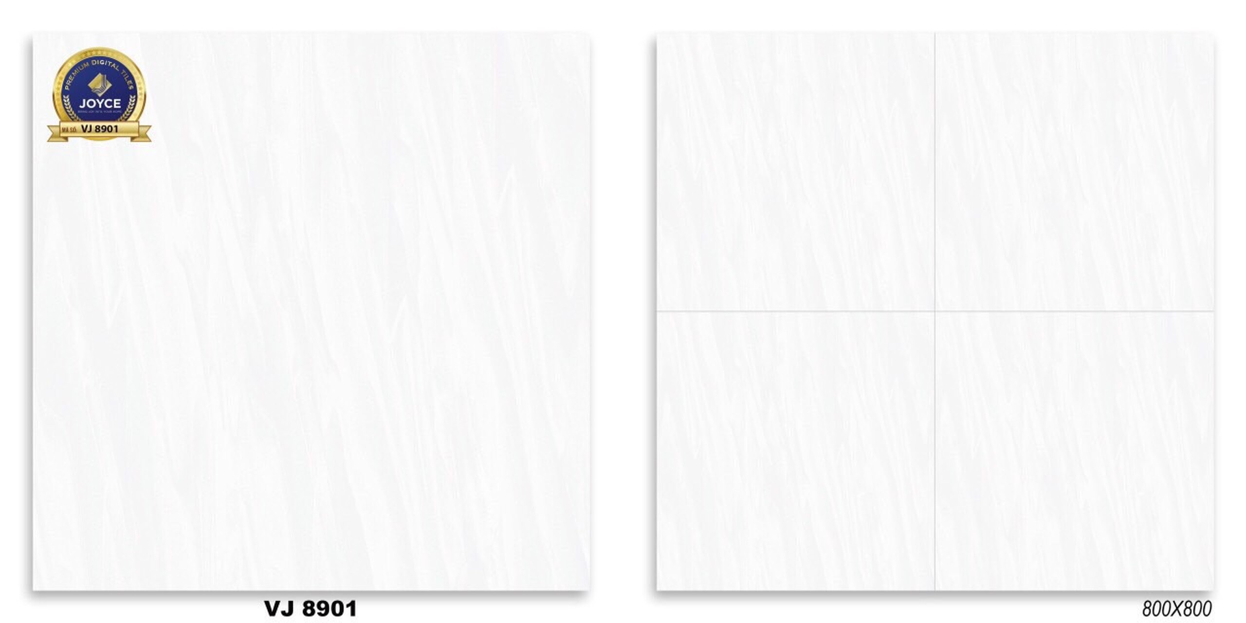 Gạch đá bóng 60x60 NVT VJ8901