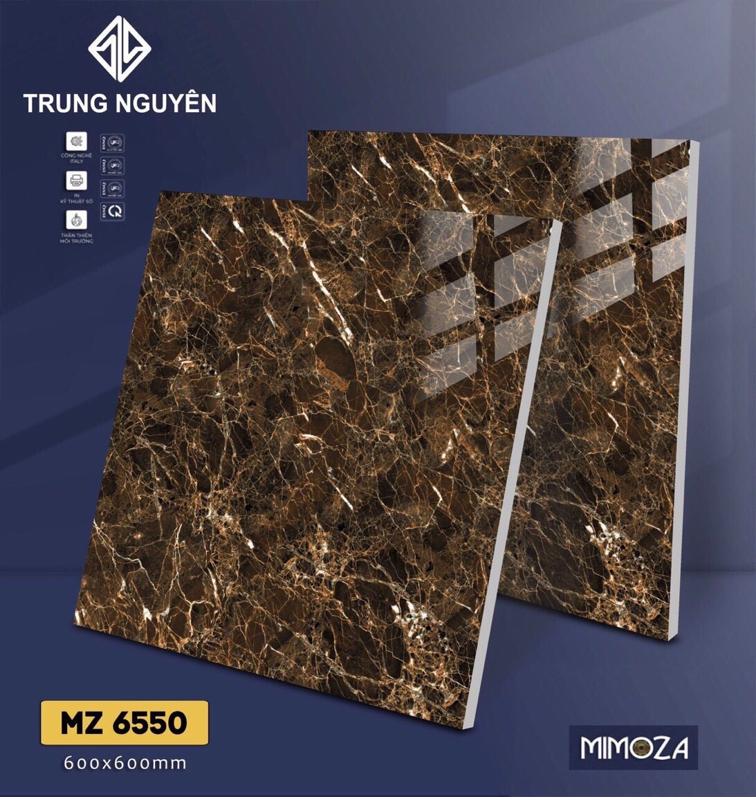 Gạch bán sứ bóng 60x60 TN MZ6550