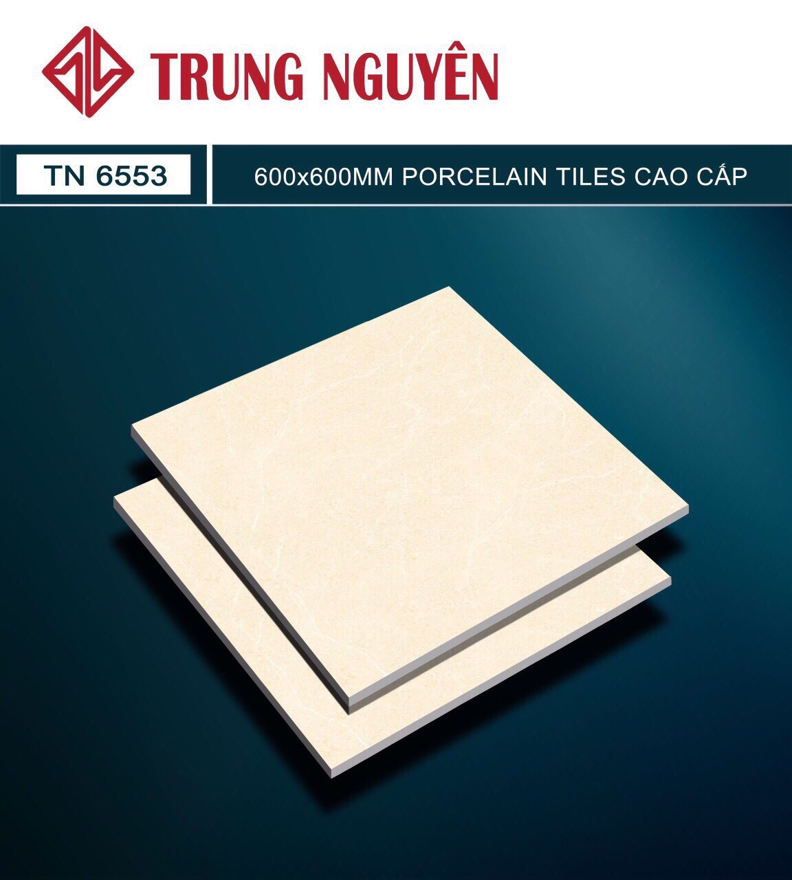 Gạch bán sứ bóng 60x60 TN TN6553