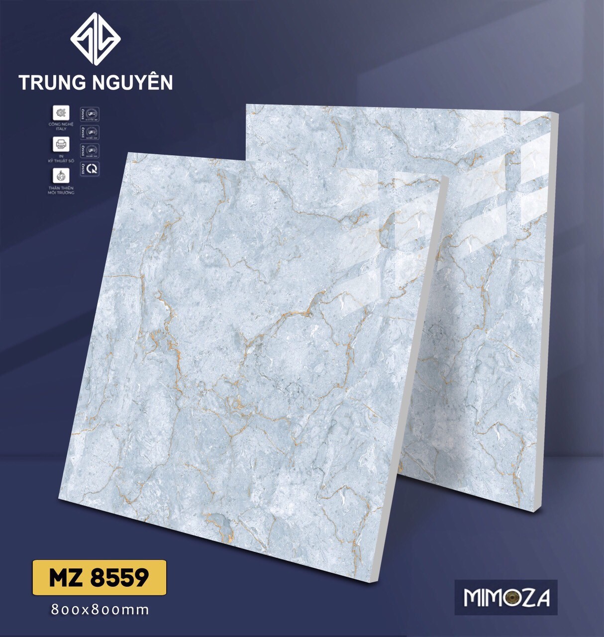Gạch bán sứ bóng 80x80 TN MZ8559