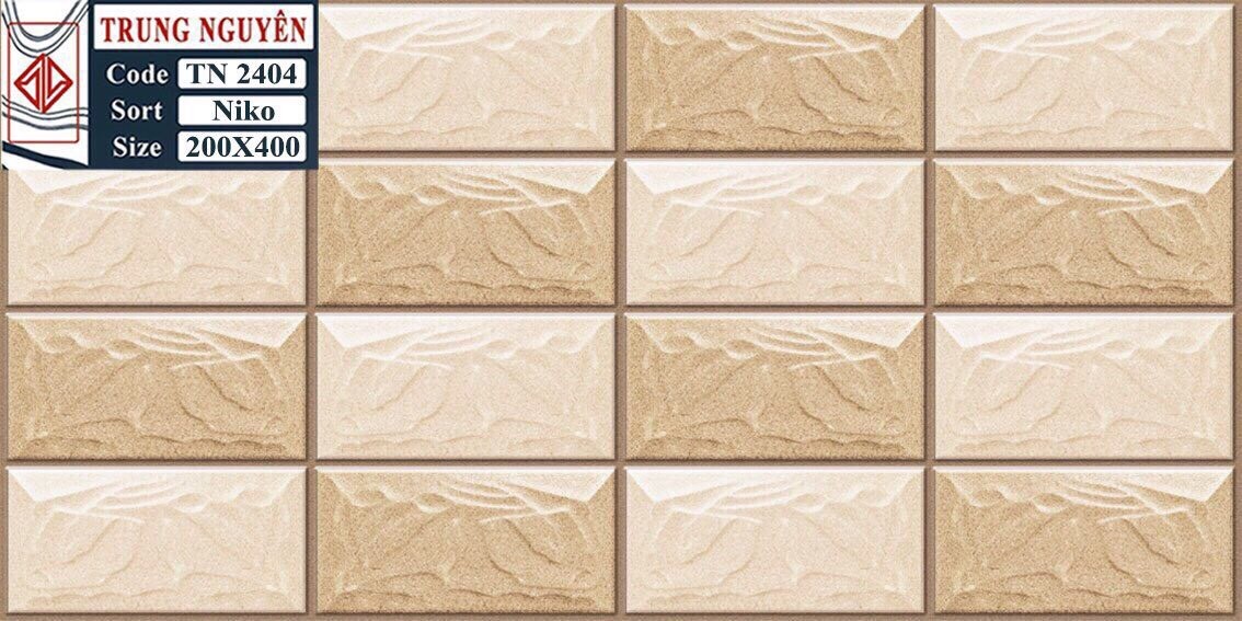 Gạch men sugar 3D 20x40 TN TN2404