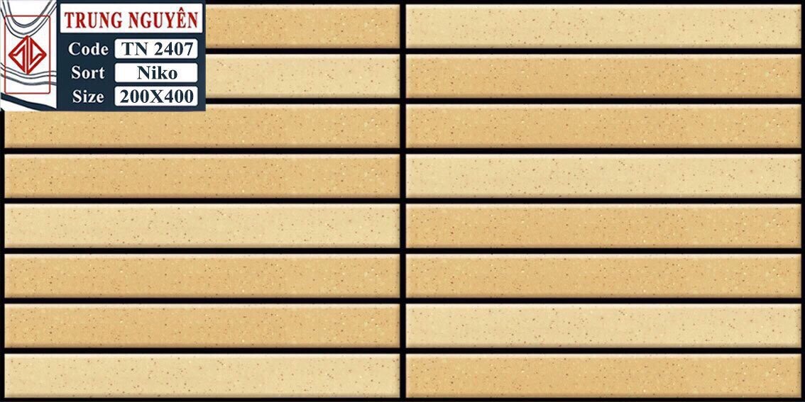 Gạch men sugar 3D 20x40 TN TN2407