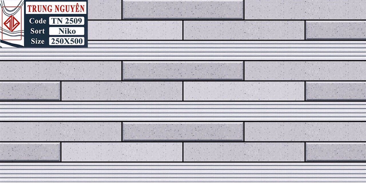 Gạch men sugar 3D 25x50 TN TN2509