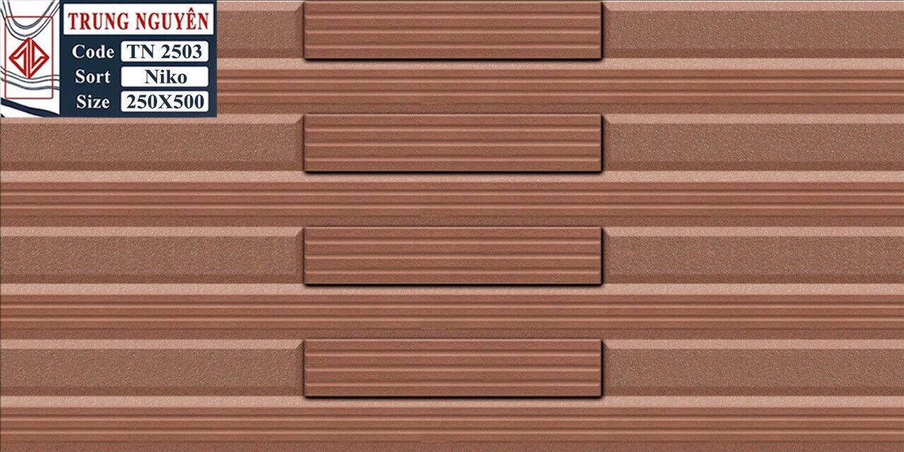 Gạch men sugar 3D 25x50 TN TN2503