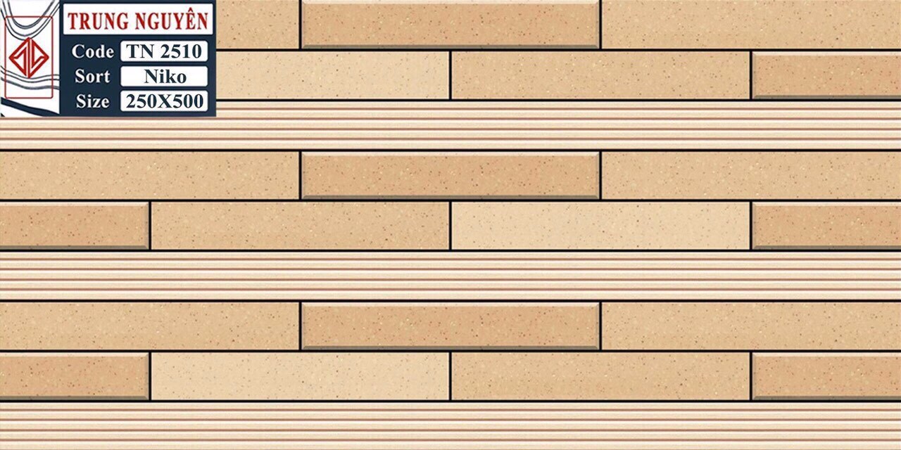 Gạch men sugar 3D 25x50 TN TN2510