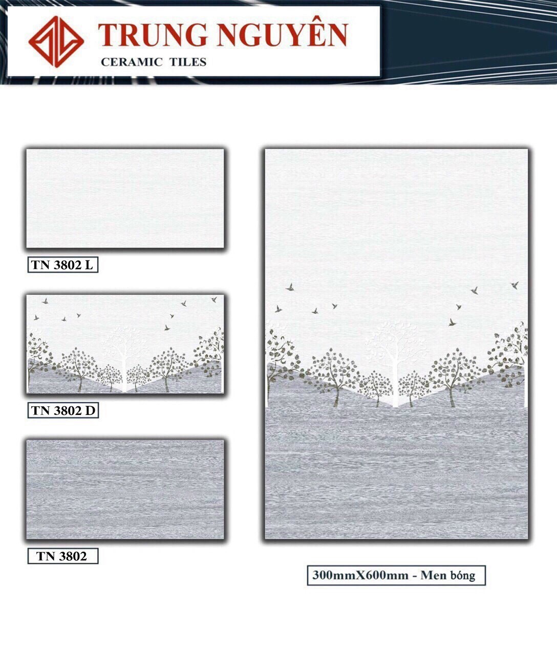 Gạch men bóng 30x60 TN 3802L-3802-Đ3802D