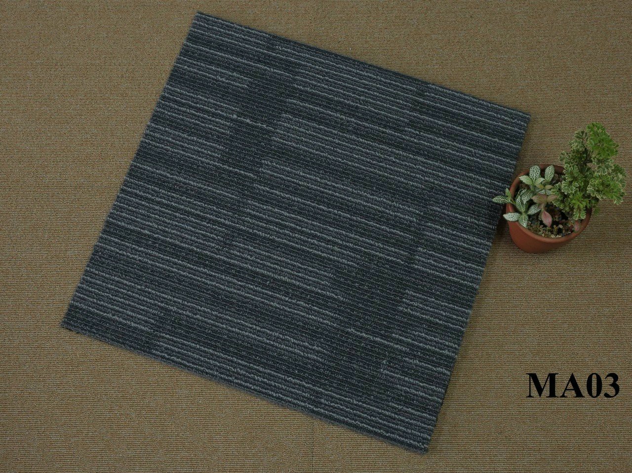 Thảm trải sàn 50x50 PĐ MA03