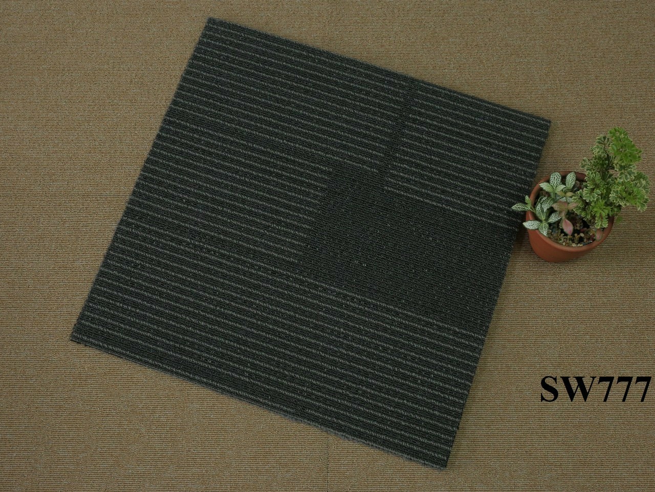 Thảm trải sàn 50x50 PĐ SW777