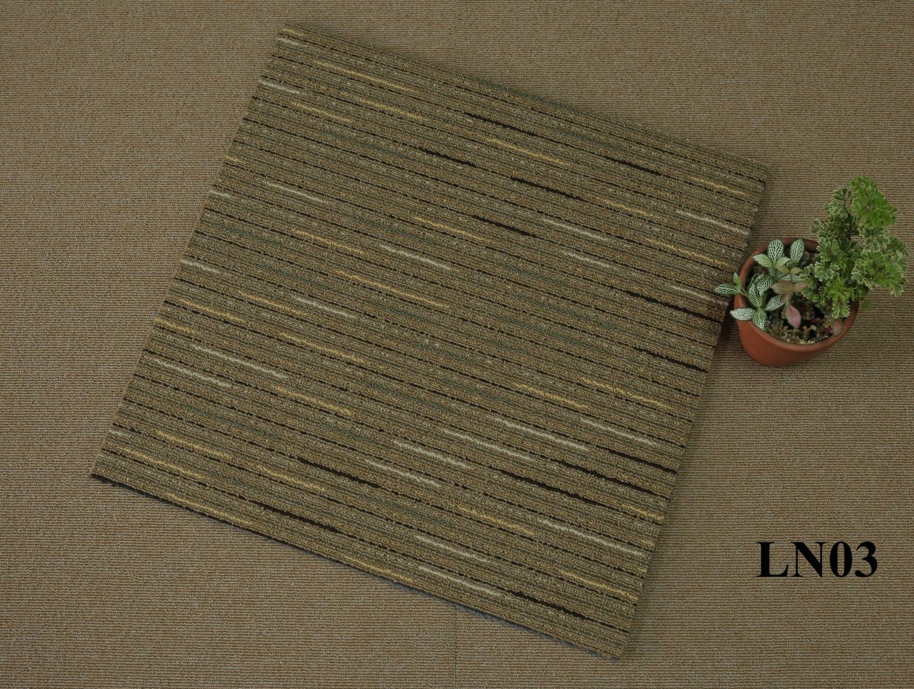 Thảm trải sàn 50x50 PĐ LN03