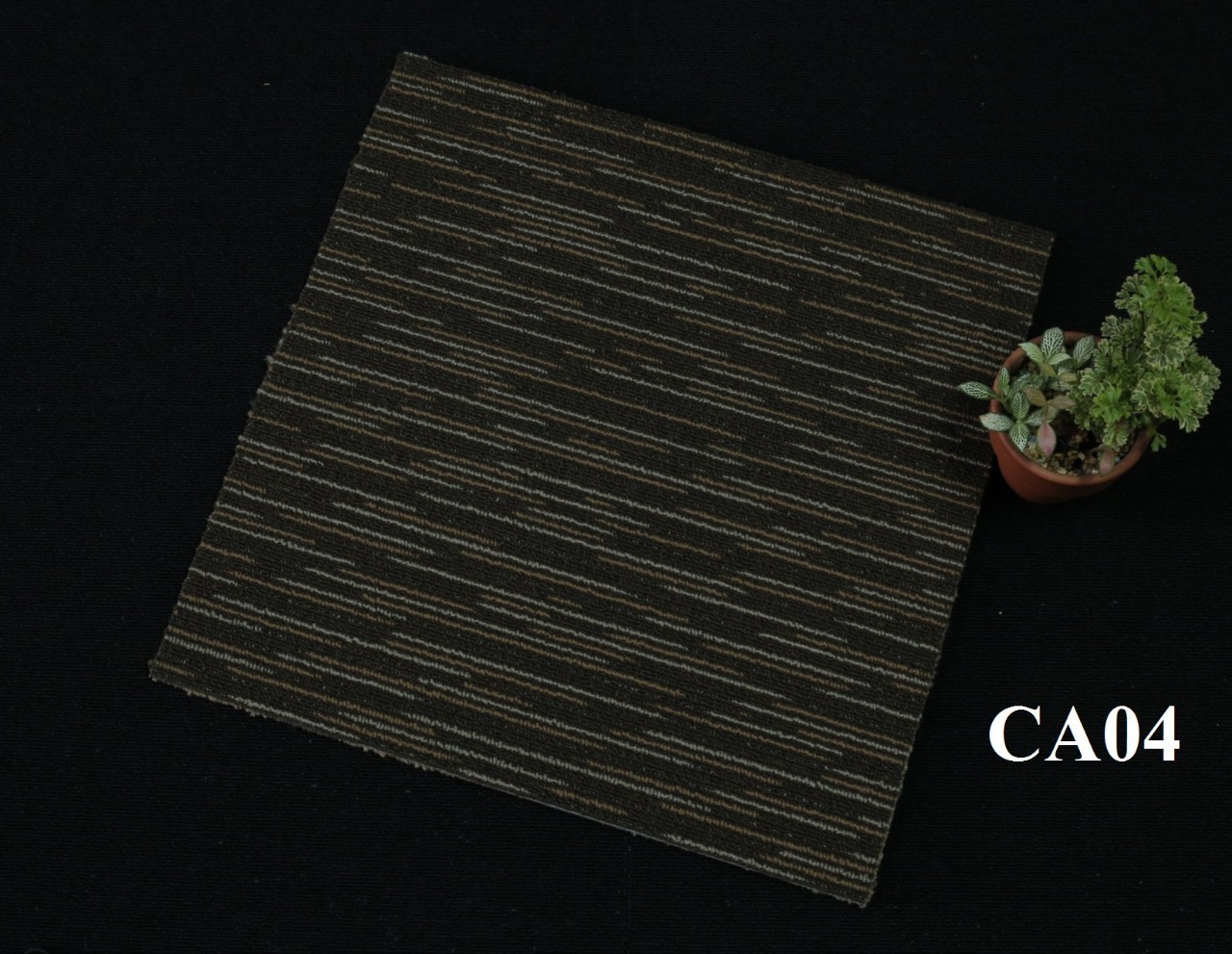 Thảm trải sàn 50x50 PĐ CA04