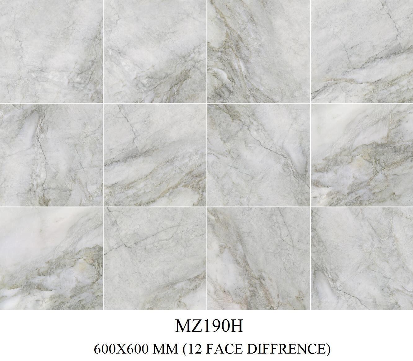 Gạch đá mờ 60x60 AC MZ190H