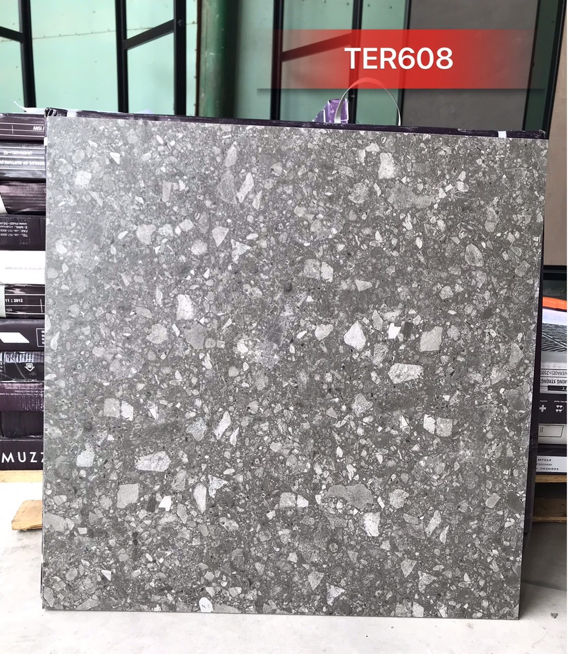 Gạch đá mờ 60x60 AC TER608