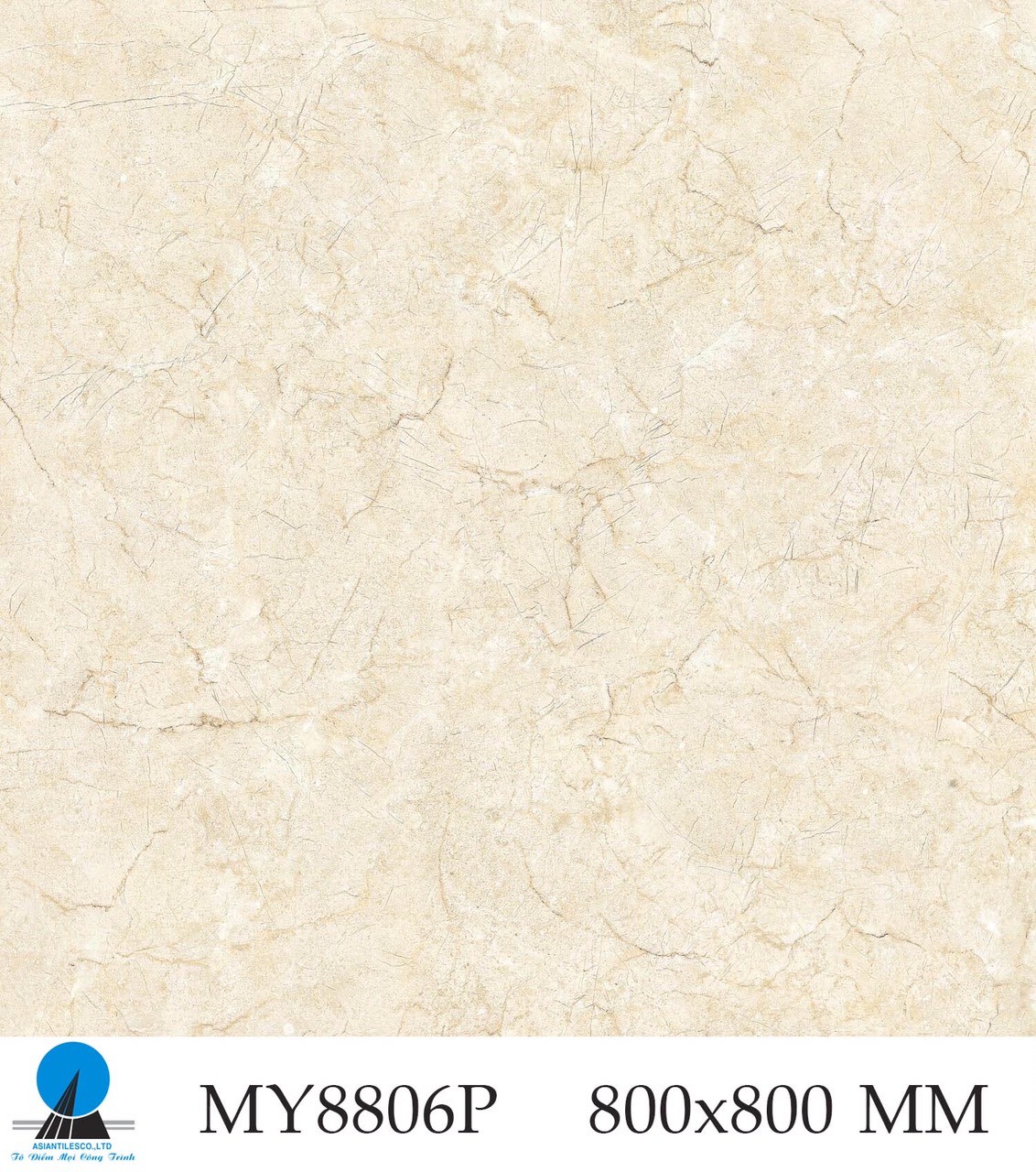 Gạch đá bóng 80x80 AC MY8806P