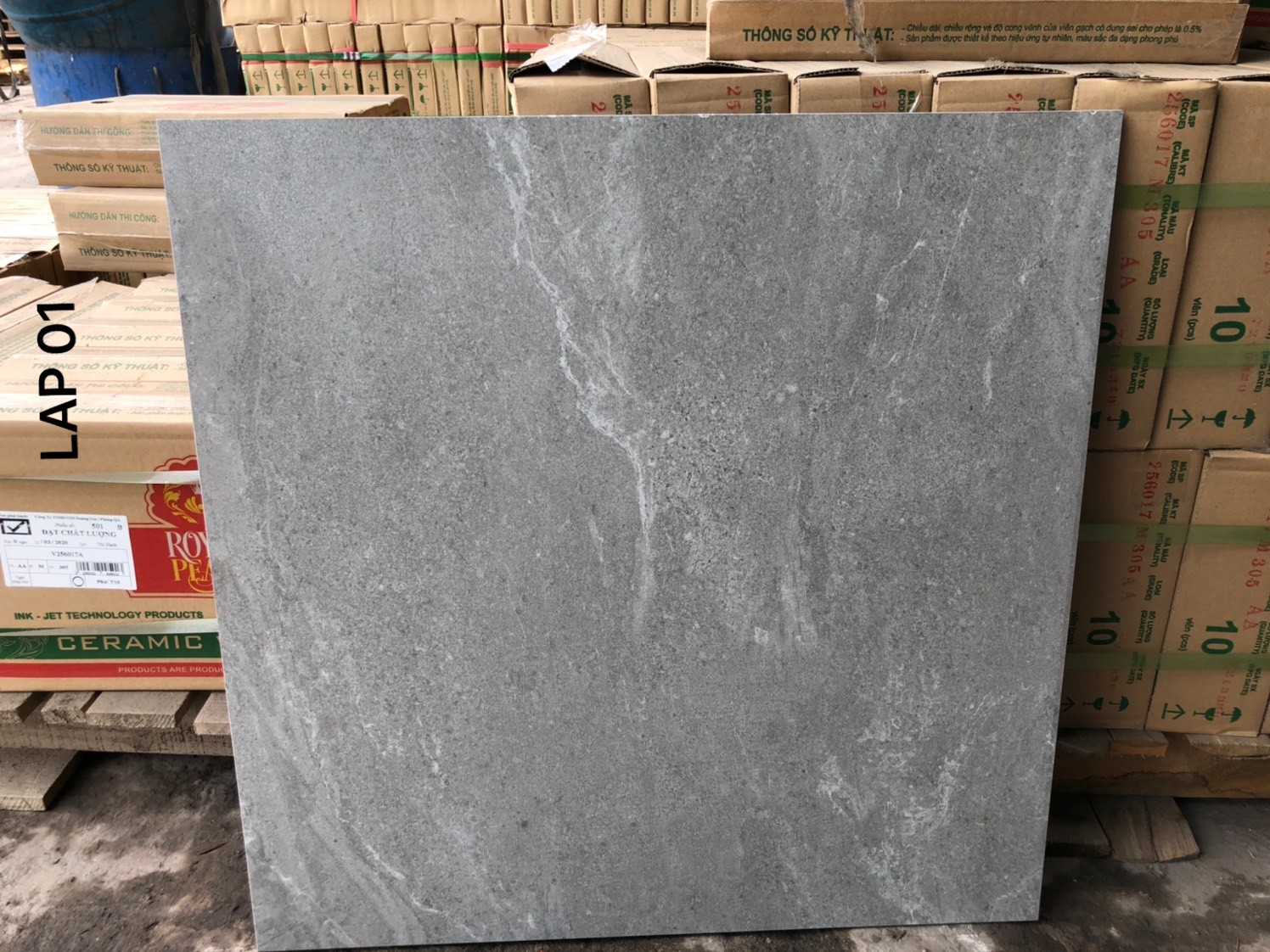 Gạch đá mờ 60x60 VNG LAP01