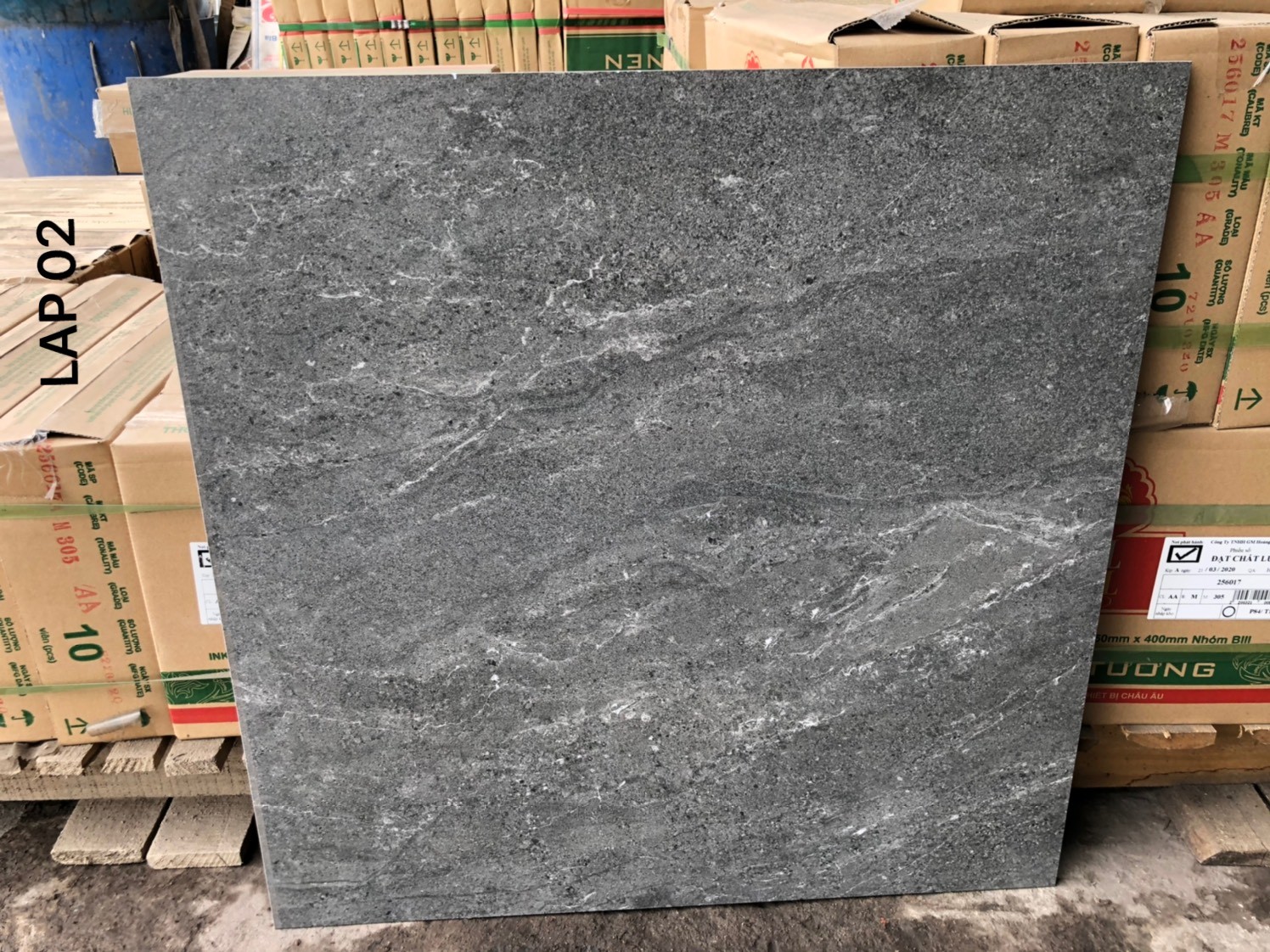 Gạch đá mờ 60x60 VNG LAP02