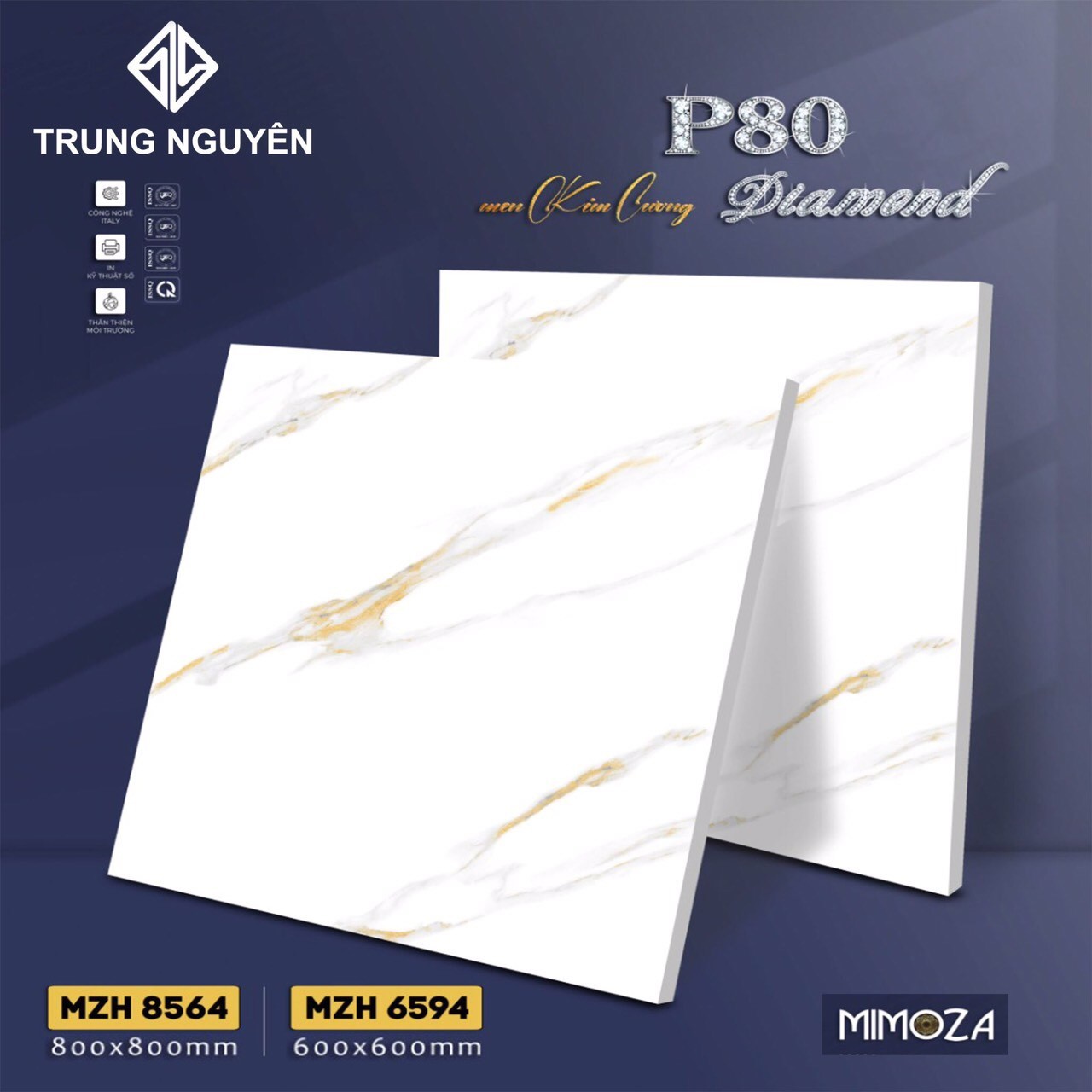 Gạch bán sứ bóng 60x60 TN MZH6594