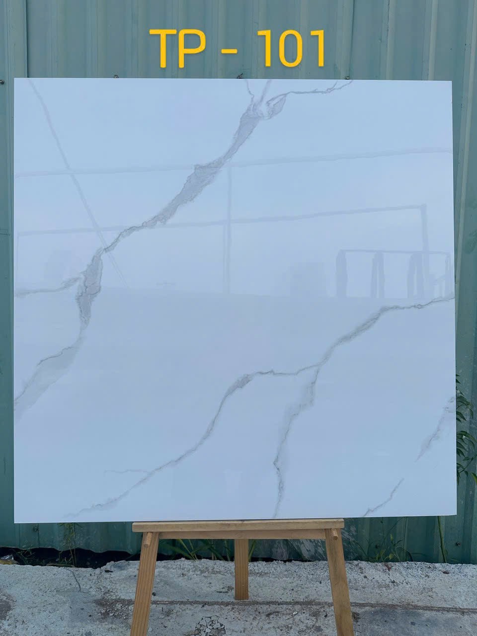 Gạch đá bán sứ bóng 100x100 TP - 101