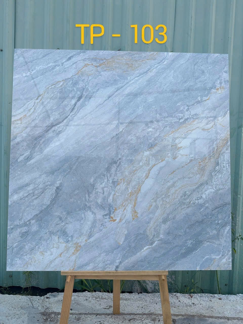 Gạch đá bán sứ bóng 100x100 TP - 103