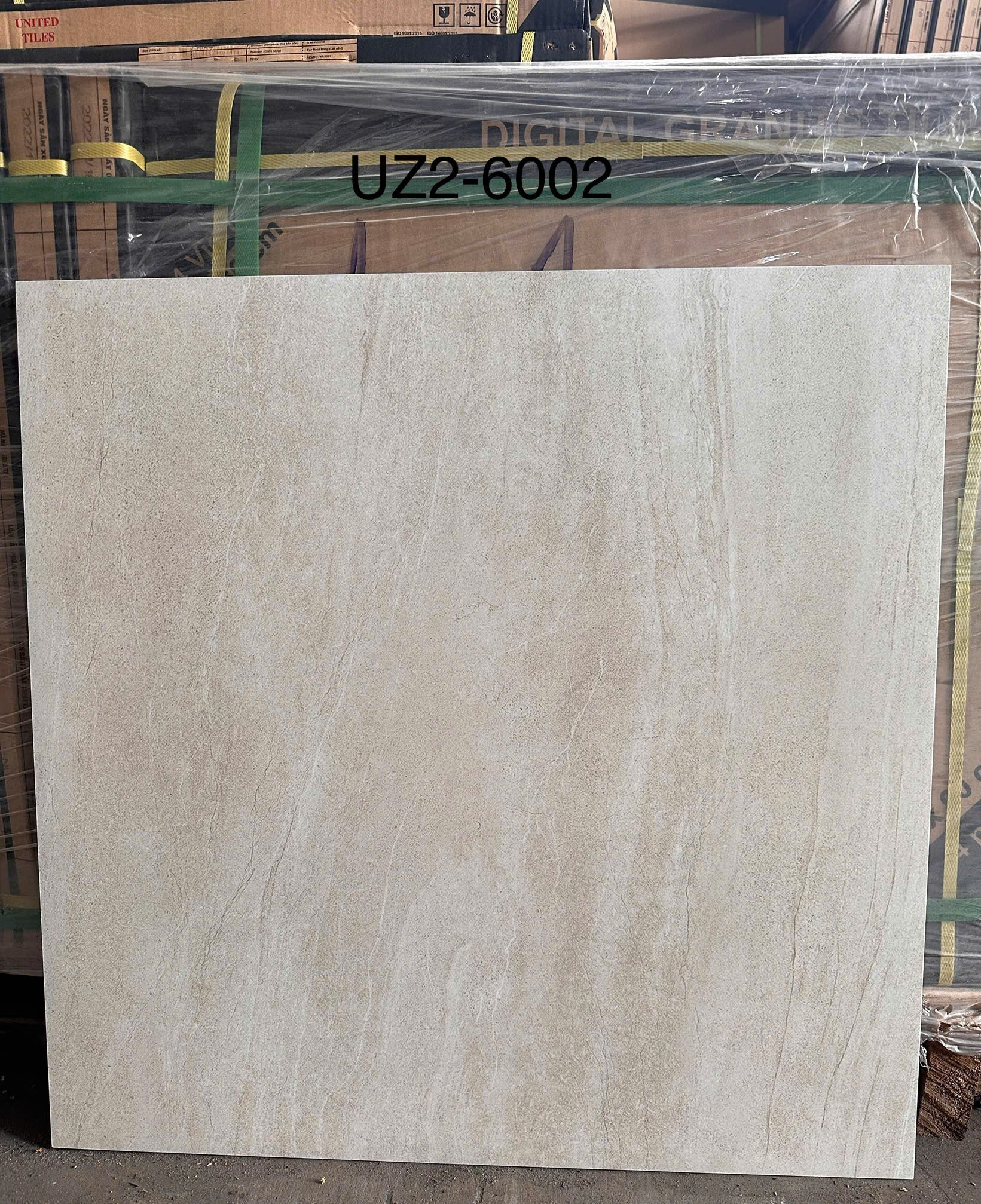 Gạch đá bán sứ mờ 60x60 UZ2-6002