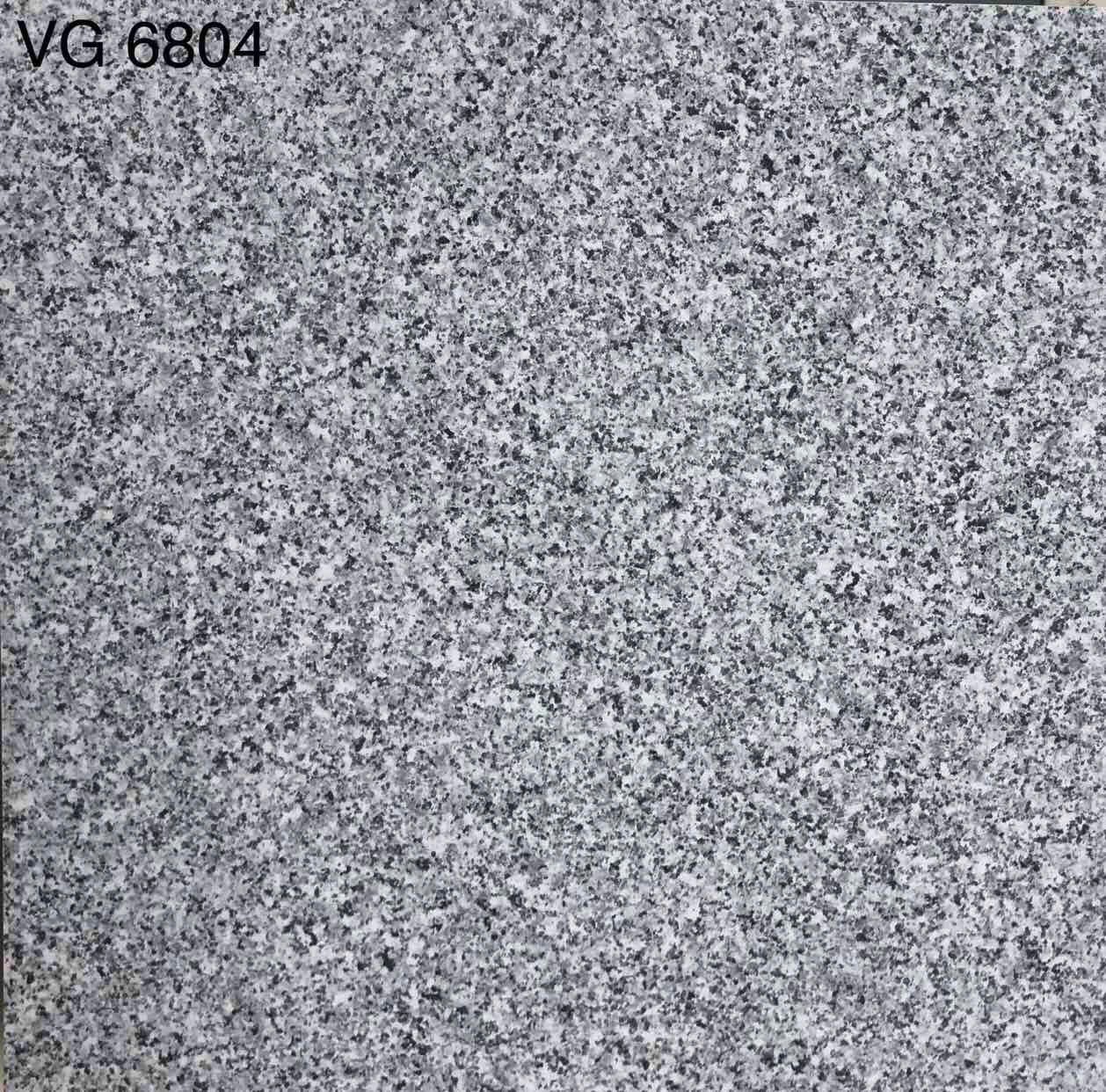 Gạch men bóng 60x60 VG6804