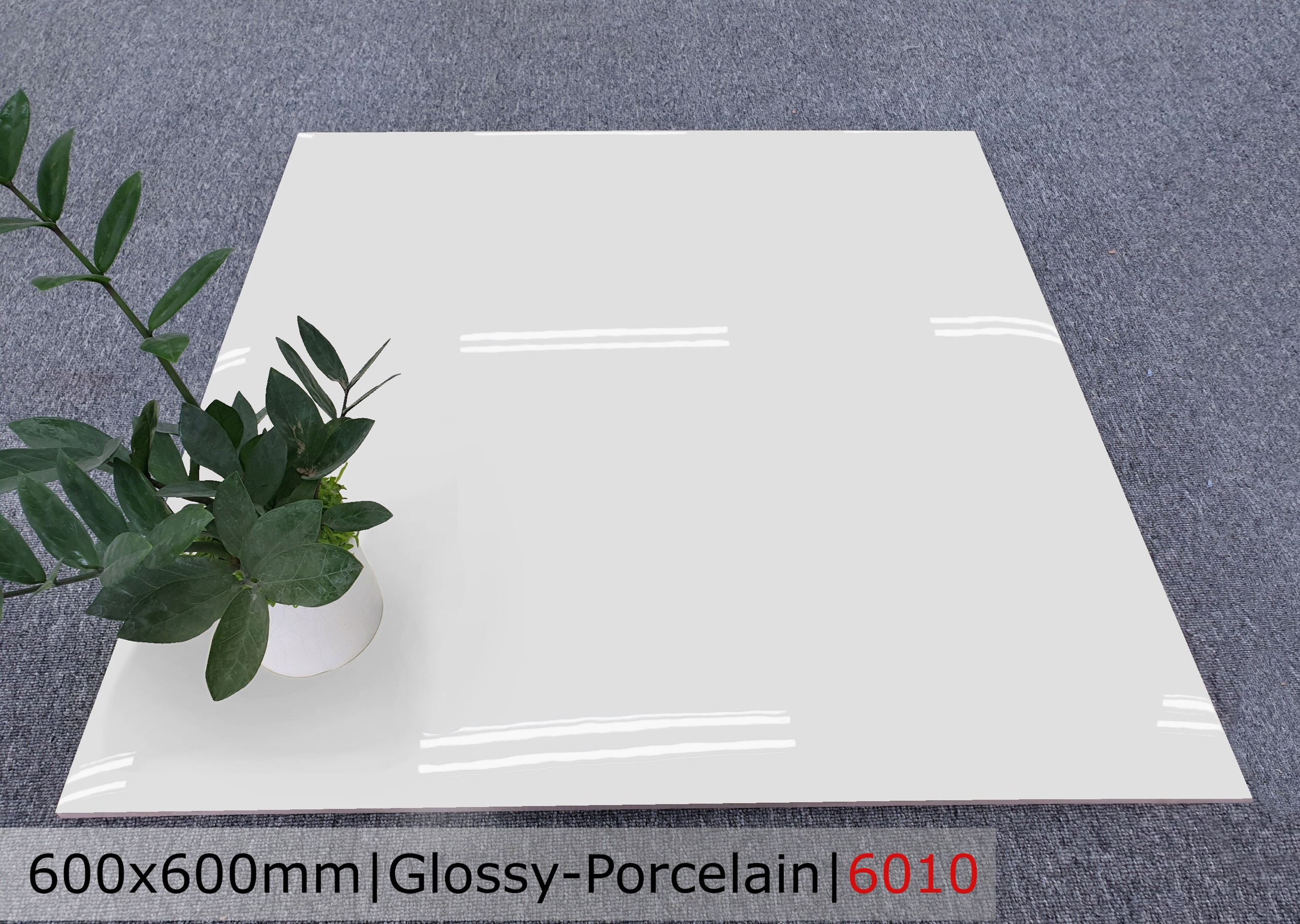 Gạch đá bóng 60x60 CTL 6010