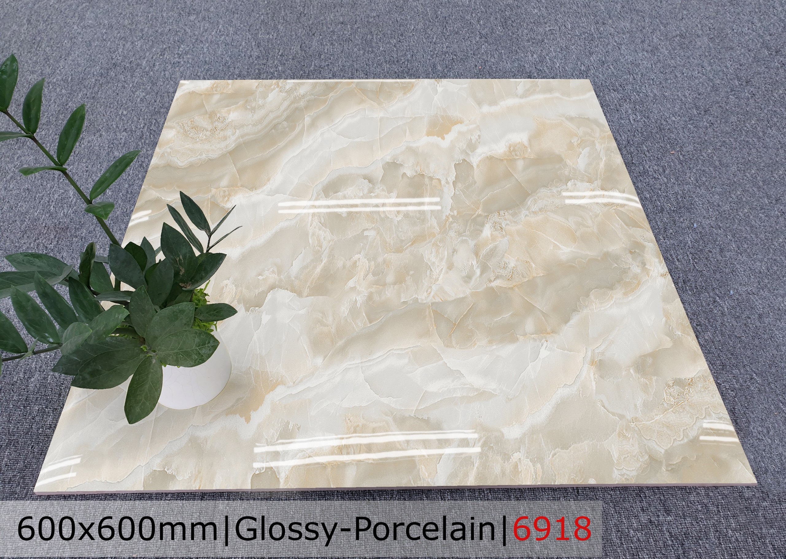 Gạch đá bóng 60x60 CTL 6918