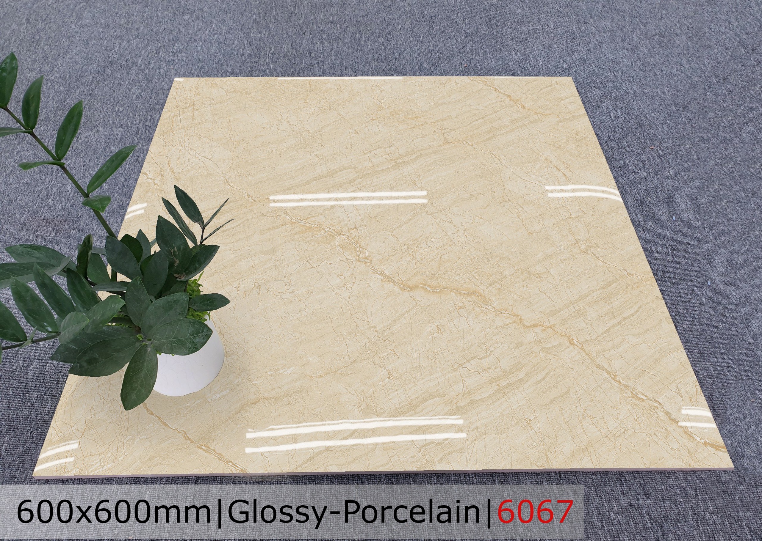 Gạch đá bóng 60x60 CTL 6067