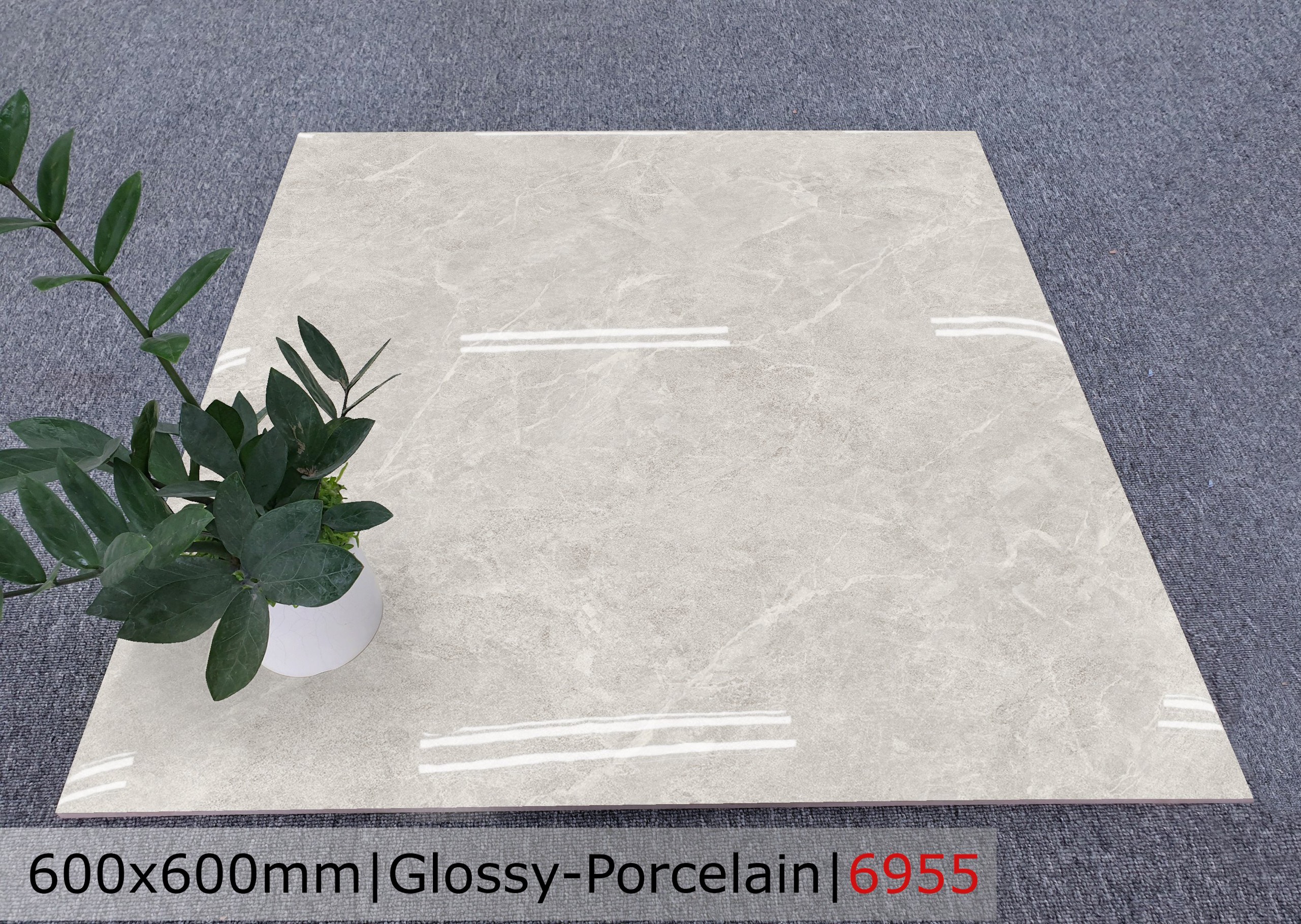 Gạch đá bóng 60x60 CTL 6955